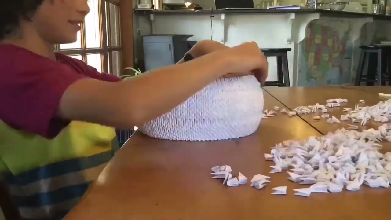 World record origami swan!