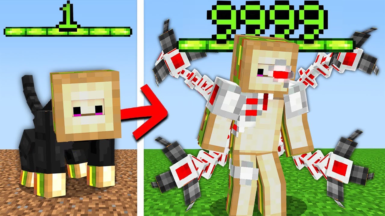 SEVİYE ATLADIKÇA EVRİM GEÇİRİYORUM! - Minecraft