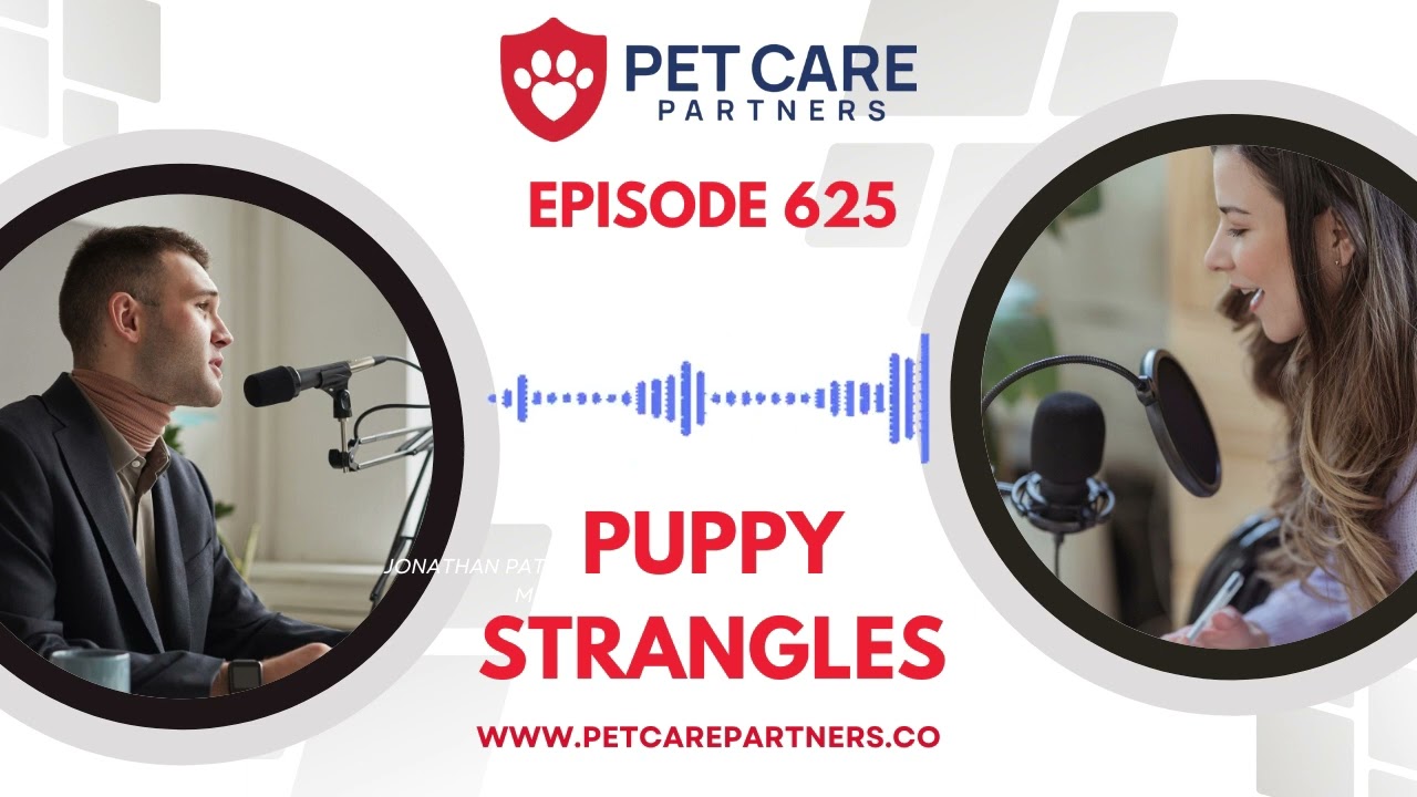 EP 625: Puppy Strangles: Juvenile Cellulitis in Dogs Explained | Pet Care Partners