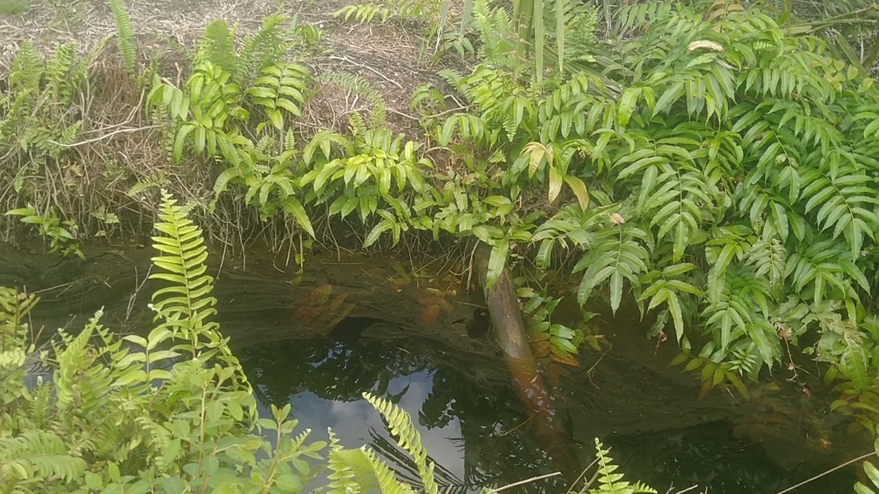 Suka Duka Pemancing | 16/365