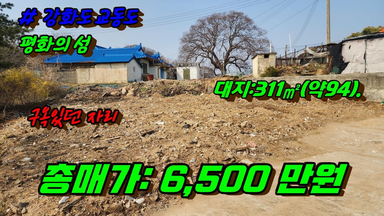 강화도교동 평화의섬, 바닷가인근 남향 나대지.
