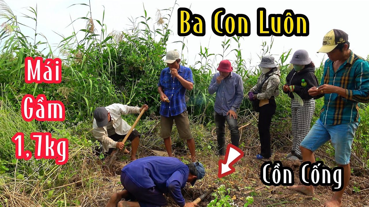 Săn Bắt Vùng Sông Nước Trúng Lớn Vác Rắn Về | Mười Thương SB