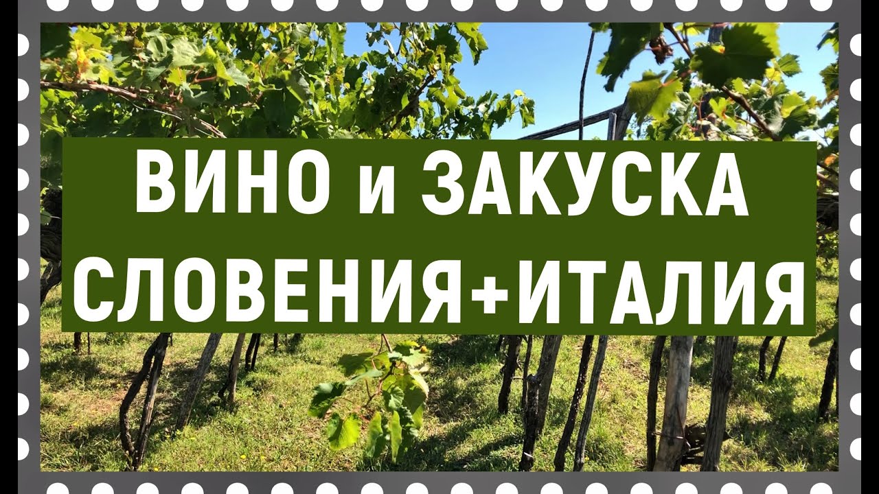 В Словению за вином, в Италию за прошутто. Винно-кулинарный тур