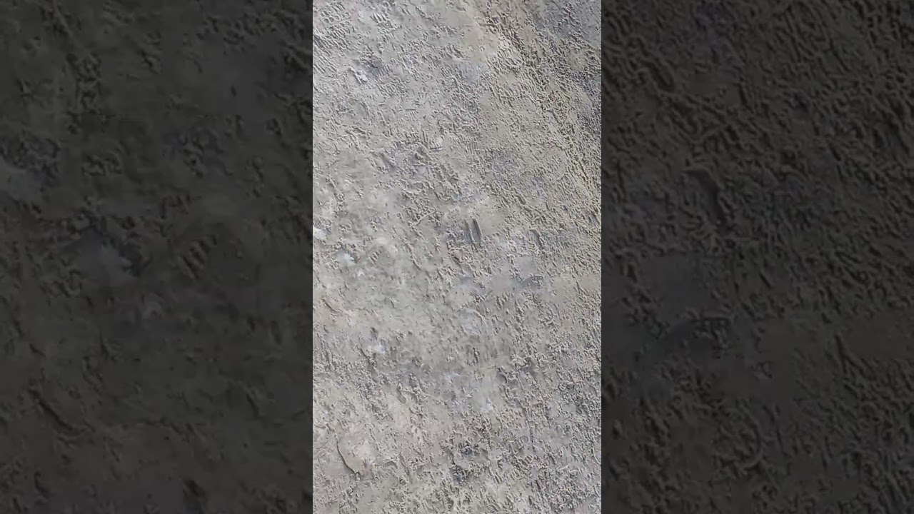 10 февраля 2026 г.
