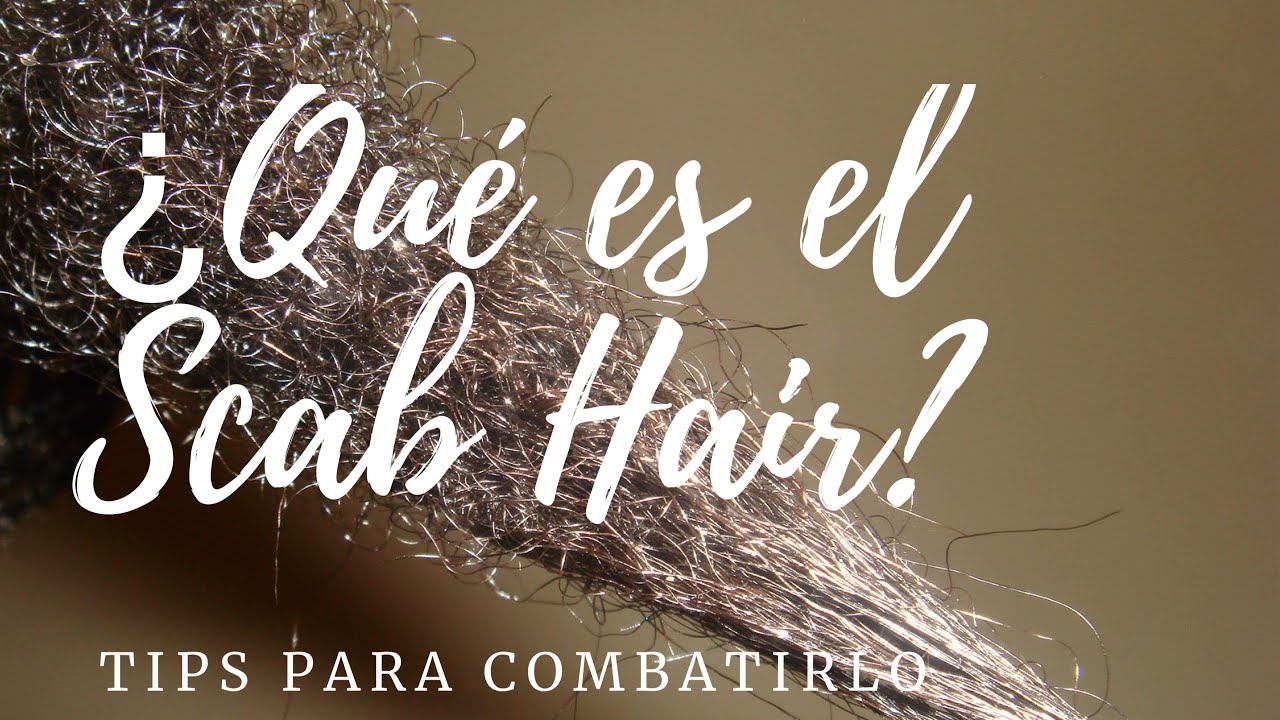 SCAB HAIR O CABELLO CICATRIZADO| TIPS Y CONSEJOS