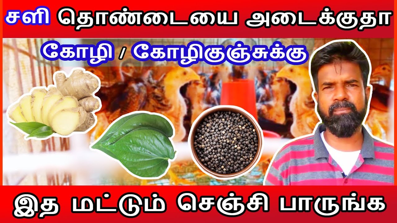 கோழிக்கு சளி தொண்டையை அடைக்குதா ? | இத மட்டும் செஞ்சி பாருங்க | TAMIL | GUNA NATTUKOZHI PANNAI