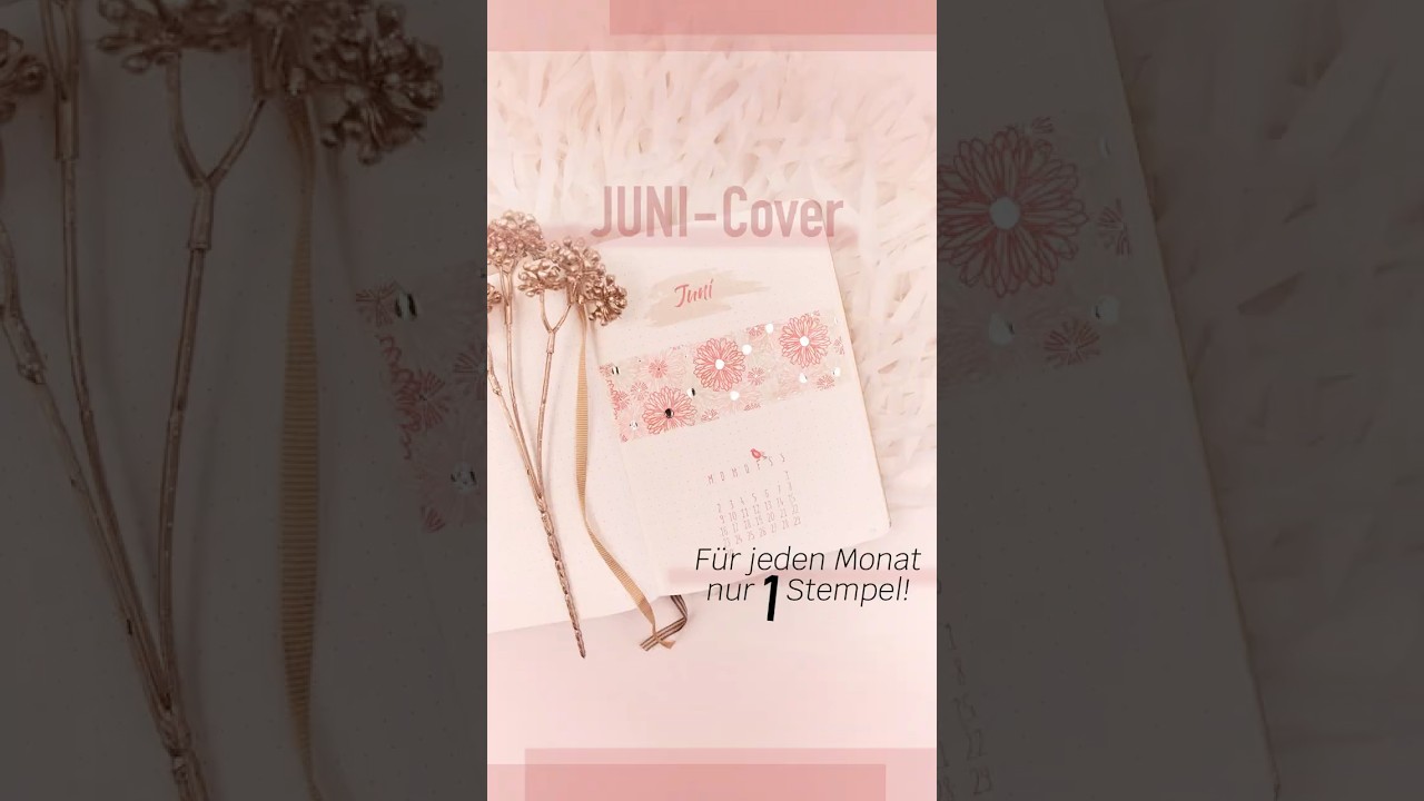 Bullet Journal 2025 Setup | Idee f&uuml;r den Juni | schafTV