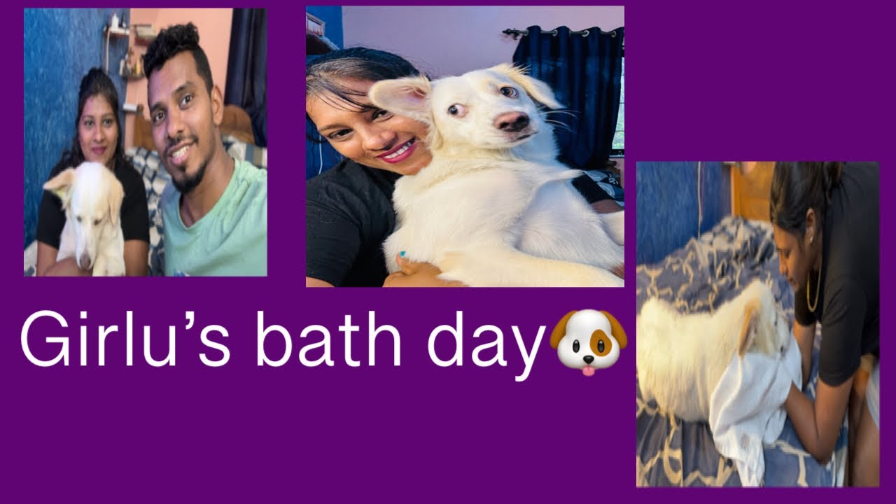 Girlu’s bath day 🐶dog parents life 😍