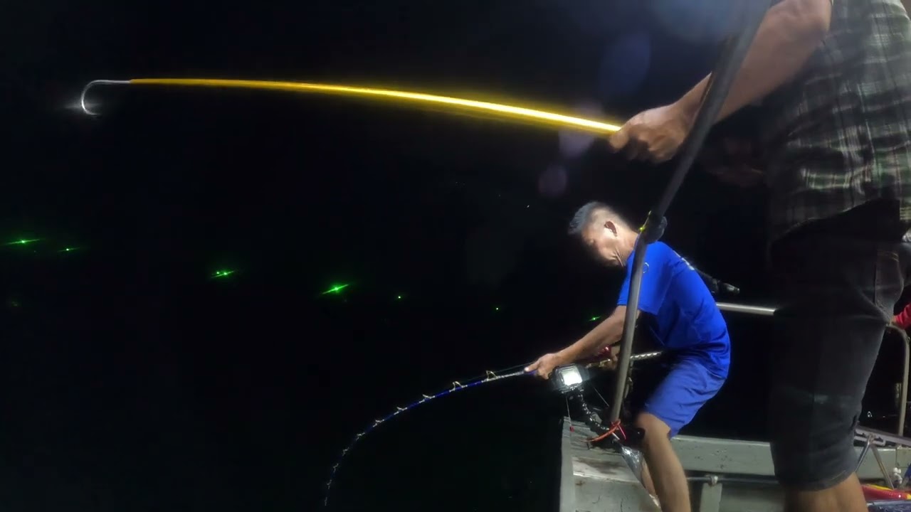 ALLIGATOR FBS190G OTOSHIKOMI pair with Daiwa Seaborg 600MJ tested at Boat Seagull by SilibinTackle