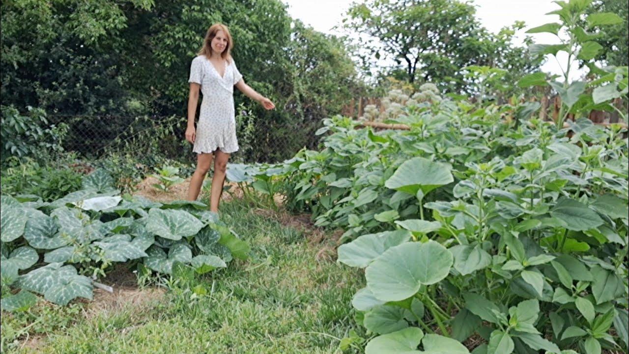 Vers l'abondance ! 🥝🌶🫐🍅