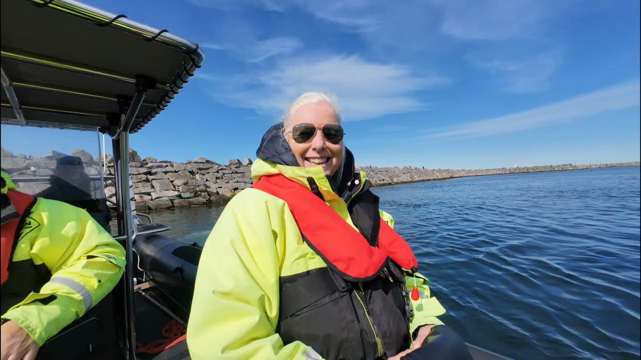Andenes Whale Safari