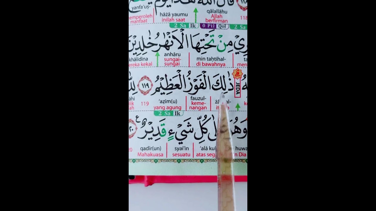 BELAJAR BERSAMA SAMPAI BISA INSYAALLAH!