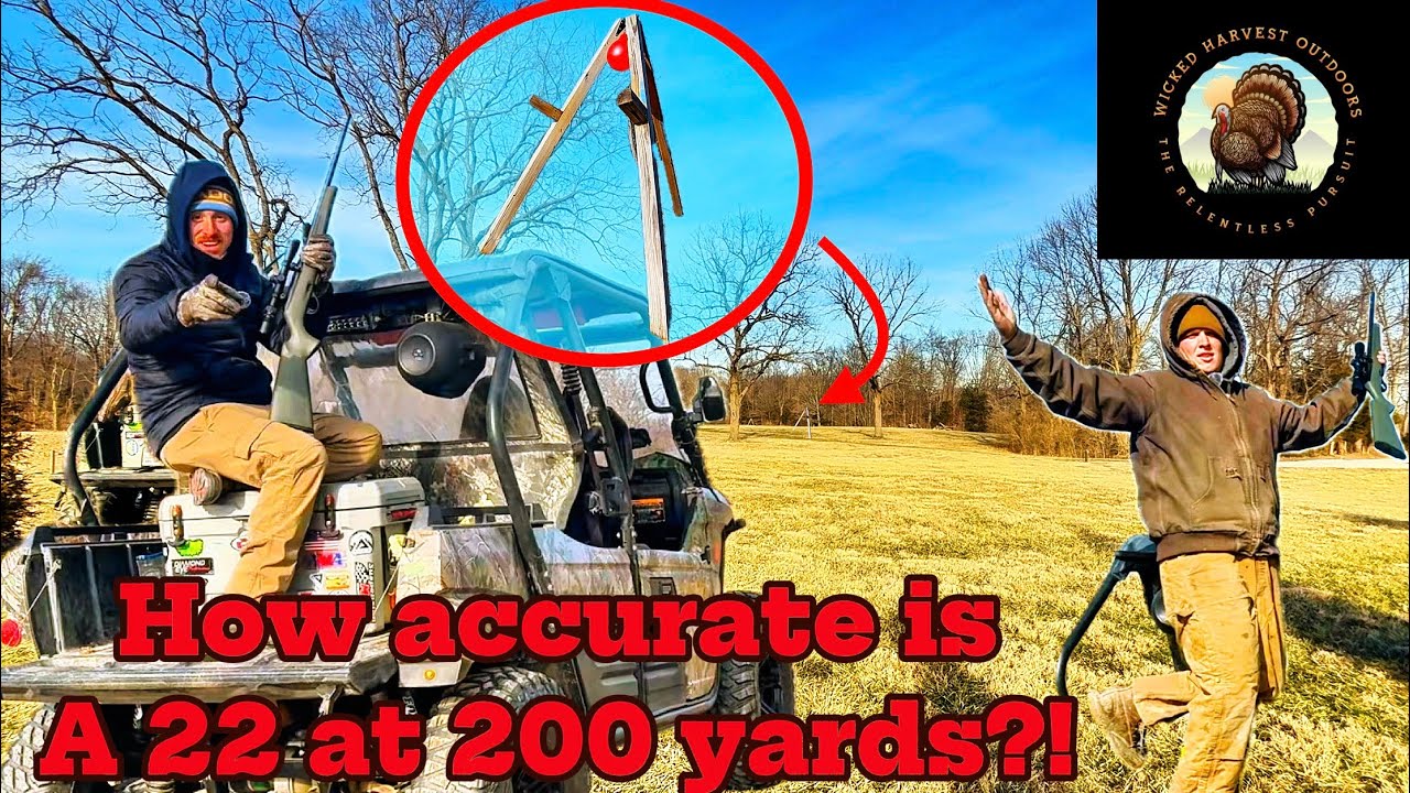 How accurate is a .22LR at 200 yards?!