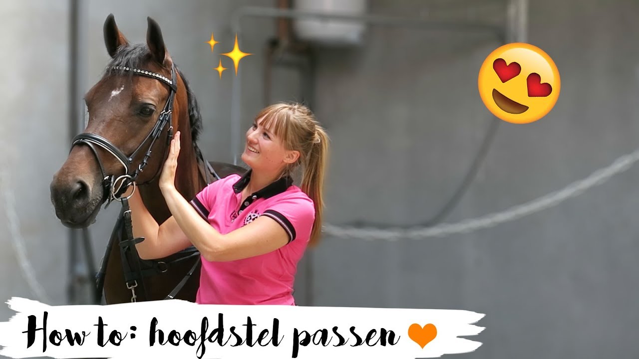 HOW TO: hoofdstel passen | #3 | Epplejeck