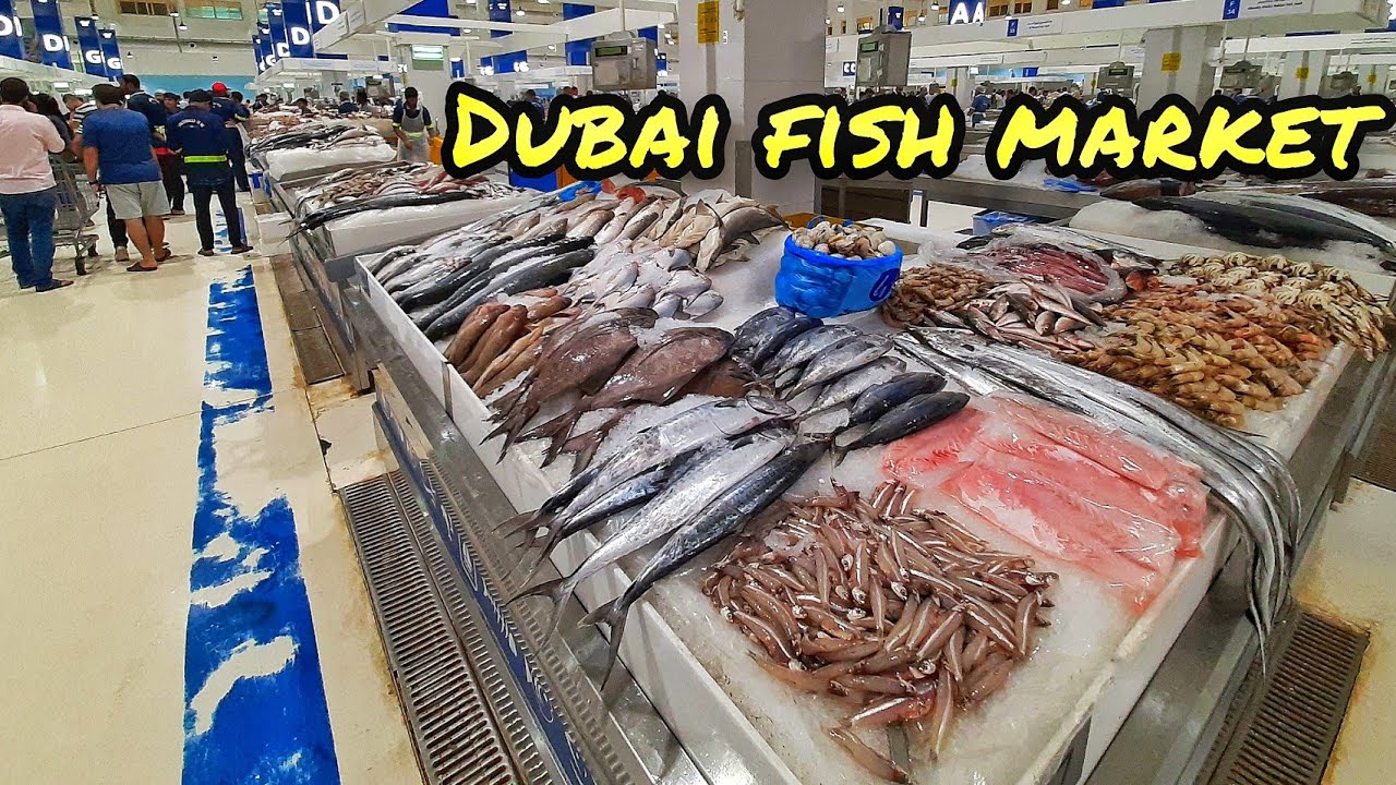 DUBAI FISH MARKET | FISH MARKET DUBAI TOUR | TYPES + PRICES | سوق السمك دبي | #DubaiFishMarket