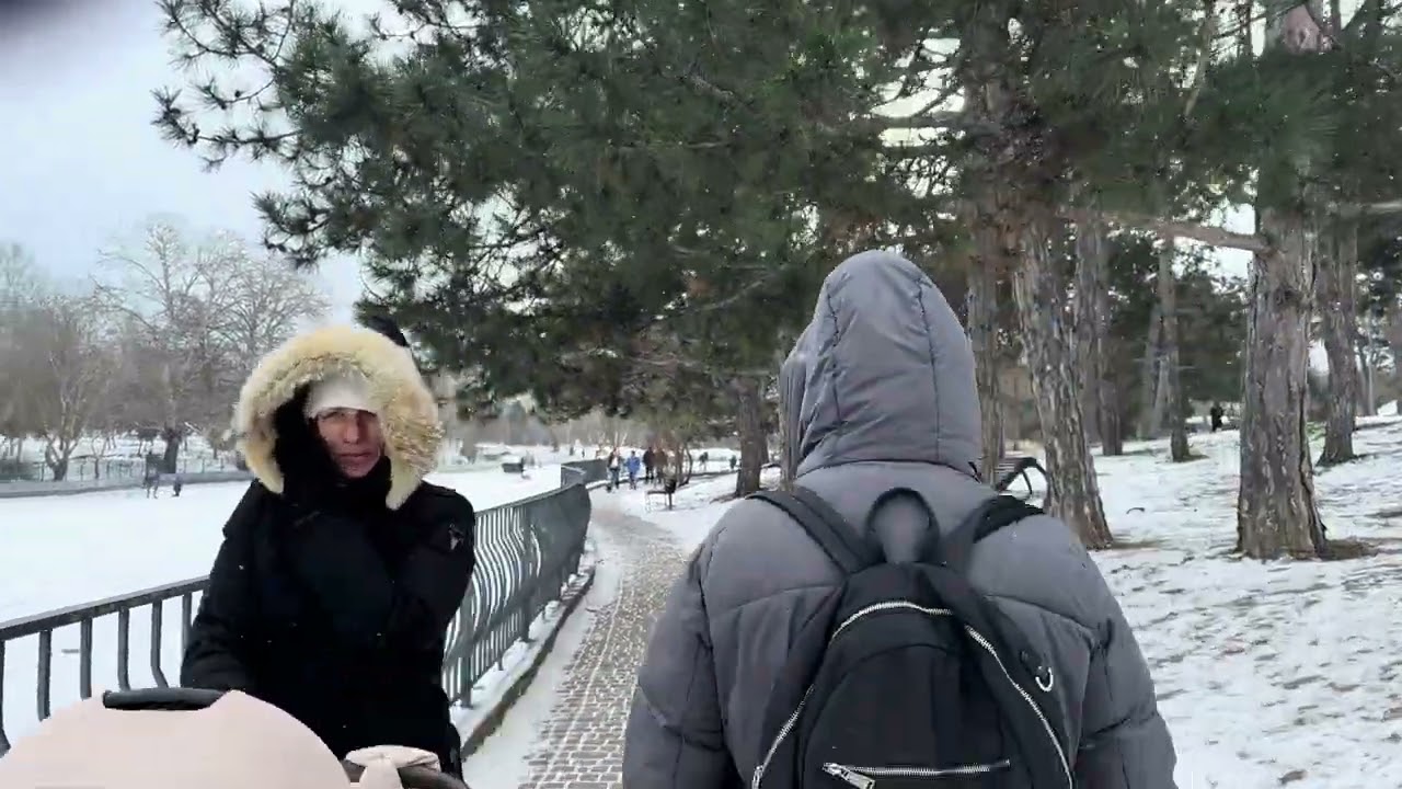 Этого ждали всю зиму! Каток на пруду в парке Победы 17.01.2026#одесса#зима#2026#рекомендации#рек