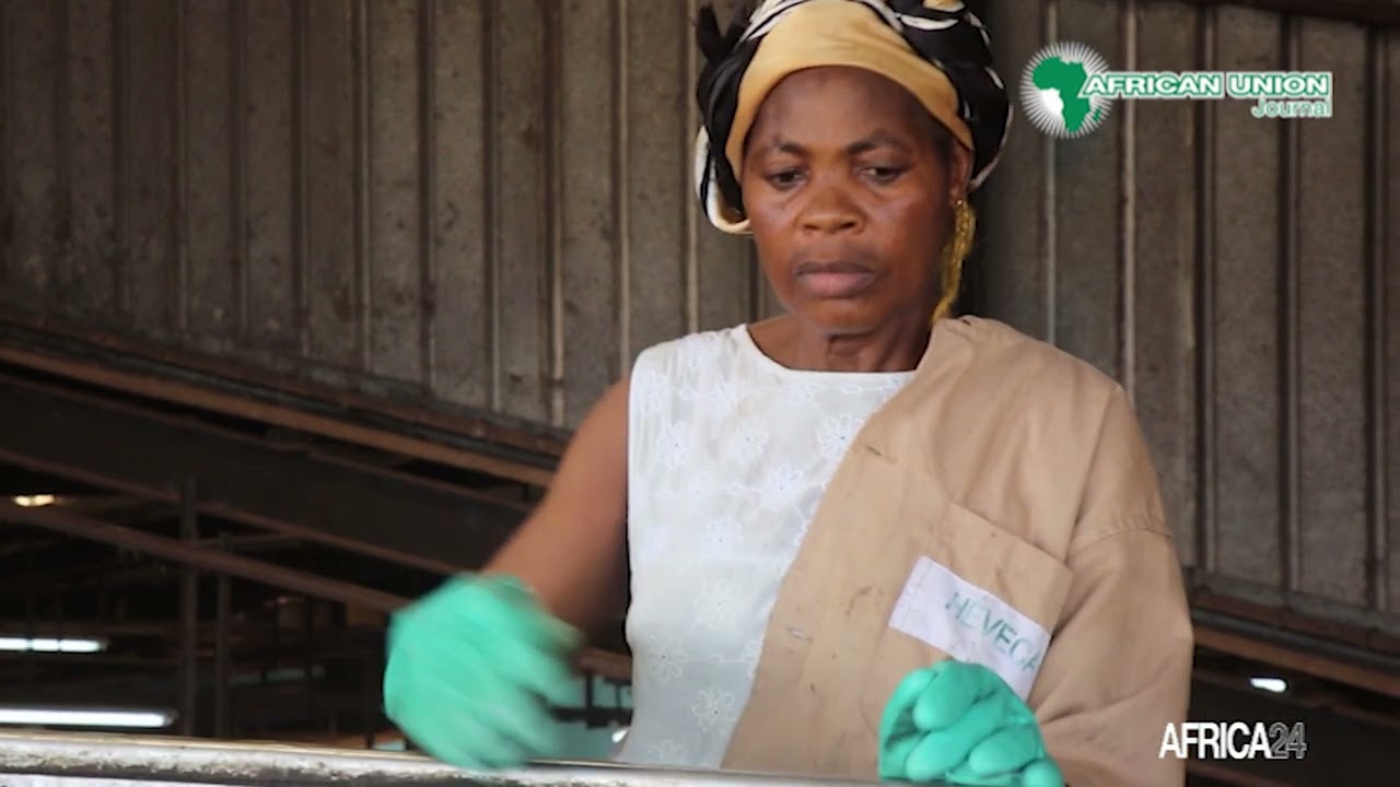Afrique : contre le ch&ocirc;mage, l'Union Africaine mise sur l'entrepreneuriat jeune