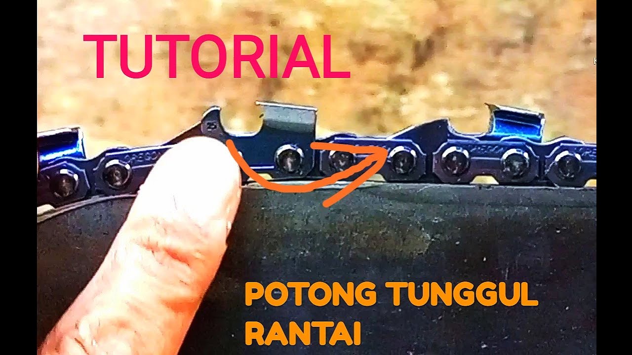 Cara potong tunggul rantai chainsaw