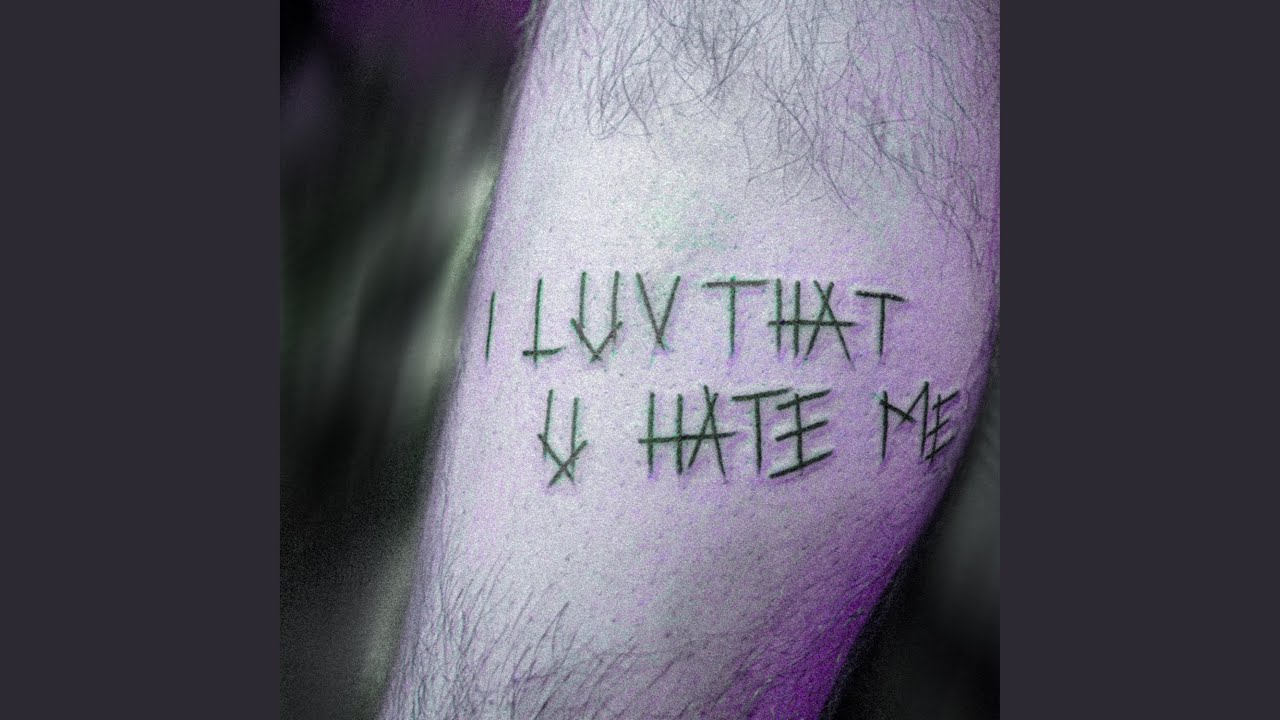 i luv that u hate me (feat. Kellin Quinn)
