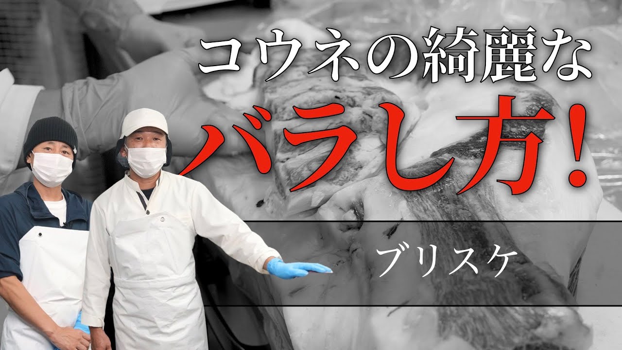 【 コウネ 】ブリスケを無駄なくバラす方法 vol.129