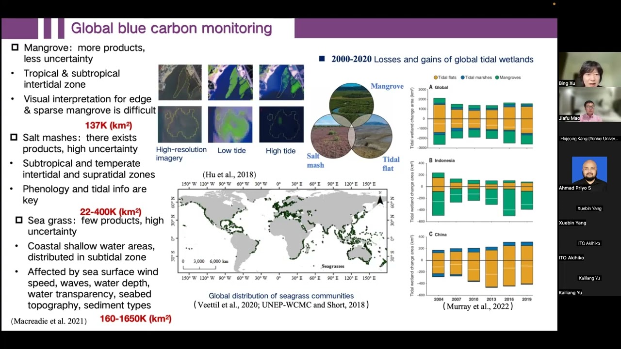 Earth Observation -- Coastal Urban Green Space and Blue Carbon