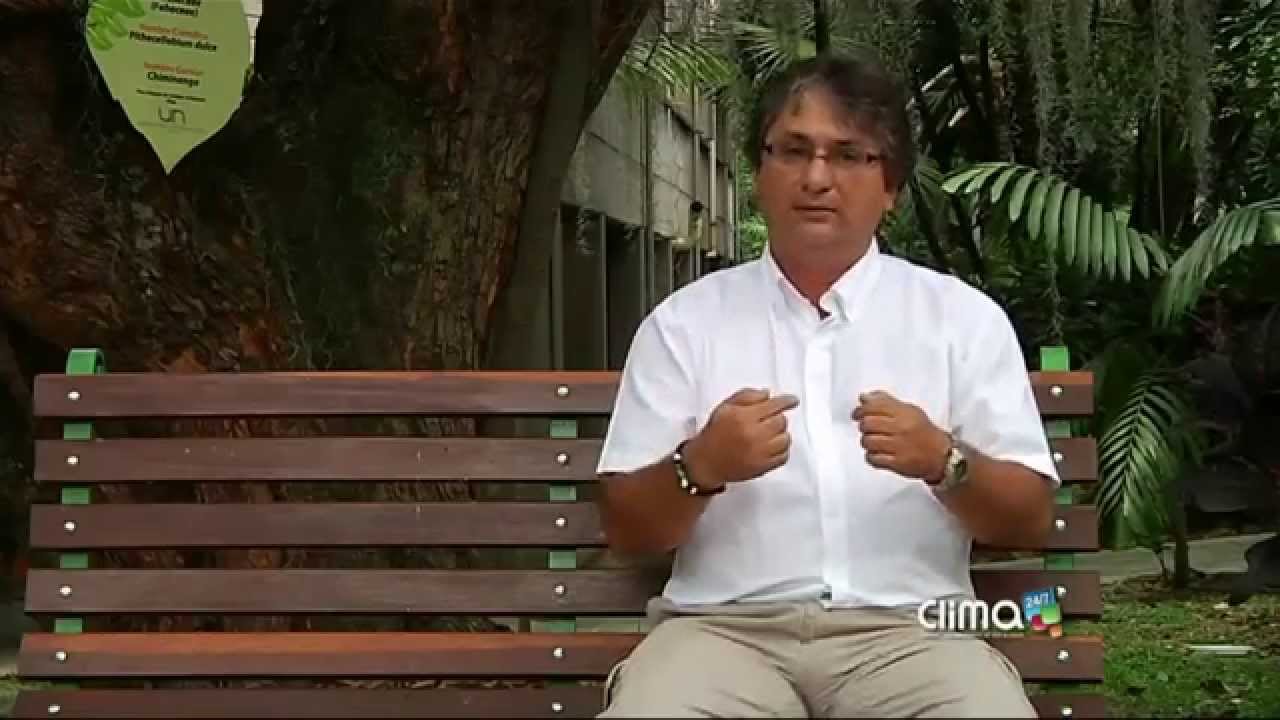 Punto de Rocío