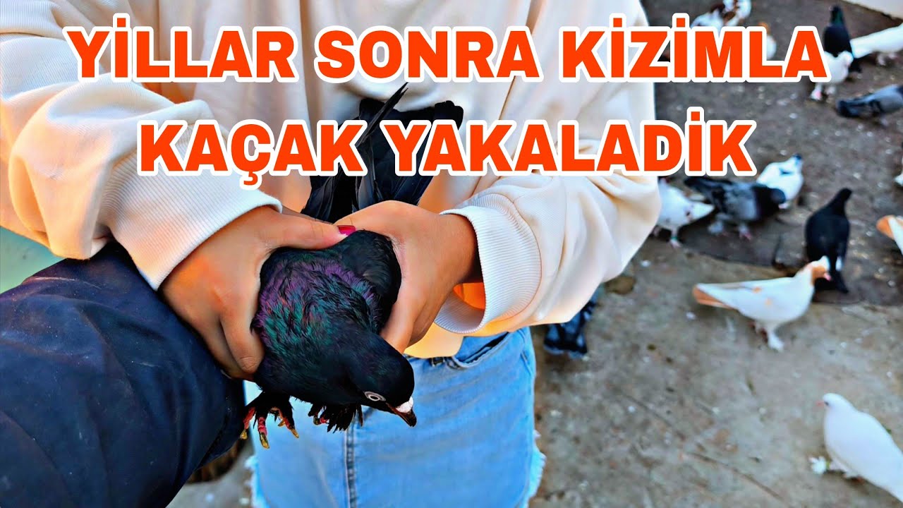 YİLLAR SONRA KİZİMLA BERABER KAÇAK YAKALADİK HEMDE KELEBEK