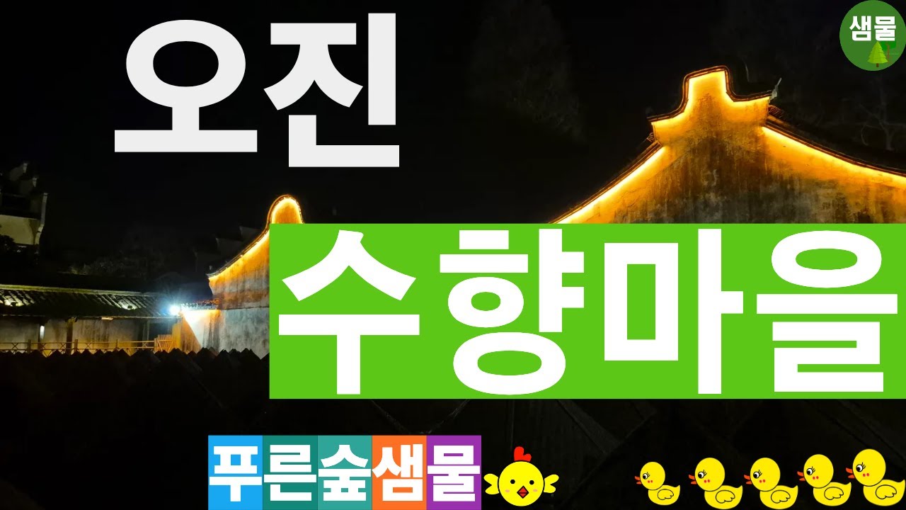 오진수향마을#수향마을 #상해여행 #오진 #우전 #야경 #중국여행 #오진#서책 #골목길 #나룻배 #뱃놀이