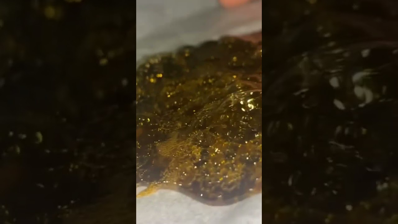 #bho #bhoextract #cannabisdaily ￼