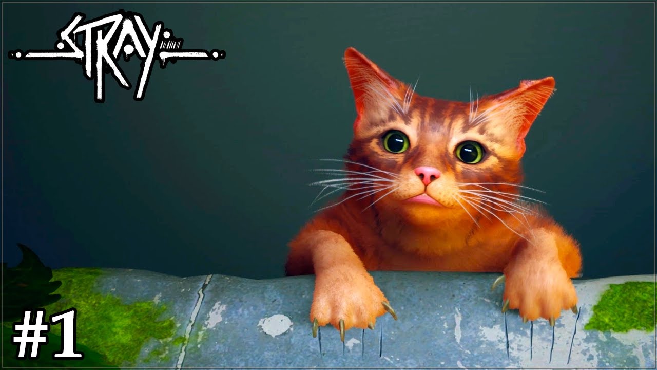 СИМУЛЯТОР КОТА |#1| STRAY 2022 ПРОХОЖДЕНИЕ