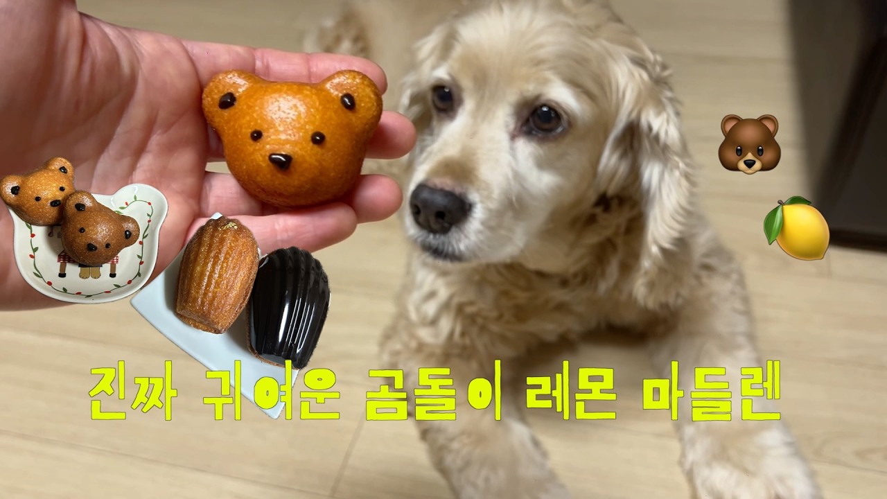 빵쟁이는 쉬는 날에도 빵을 굽는다. (정말 맛있는 곰돌이 레몬마들렌 만들기🐻🍋)