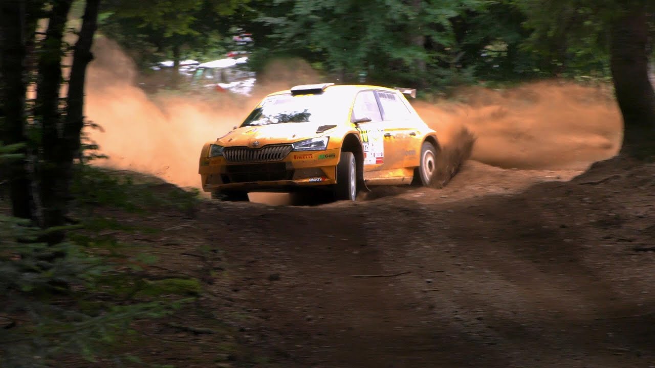 🏁- Rallye Terre de Lozère 2025 | Flat-out, Mistake | Pellier Win | SoundRallye