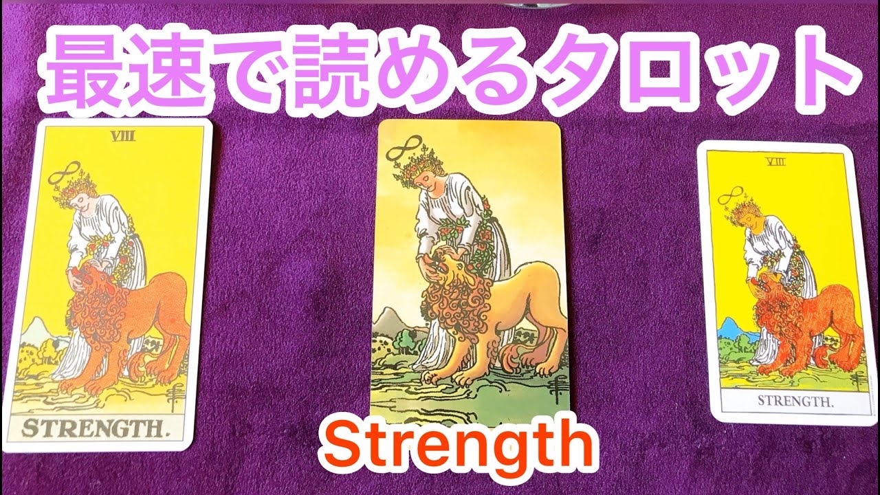 🦁「力」のカード🦁最速でタロットが読めるようになる❗️ まずはこれだけ覚えよう💗
