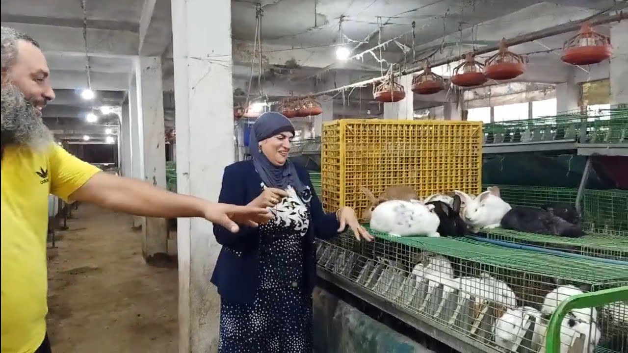 ارانب الخير شوفوا الحلقه الرائعه مع مدام ايمان الحلواني الجزء الثاني،،،١٧٤