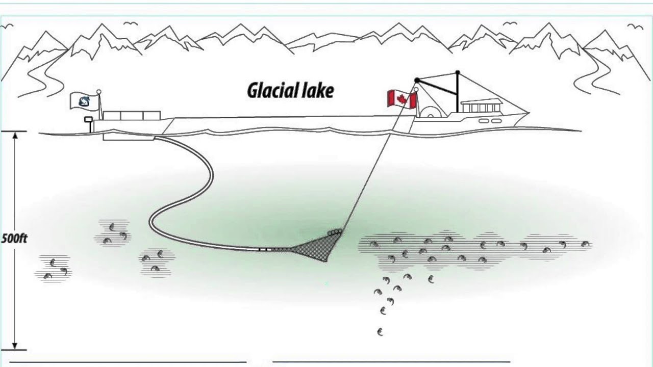 Up Close With Piscine at Global Pet Expo 2014