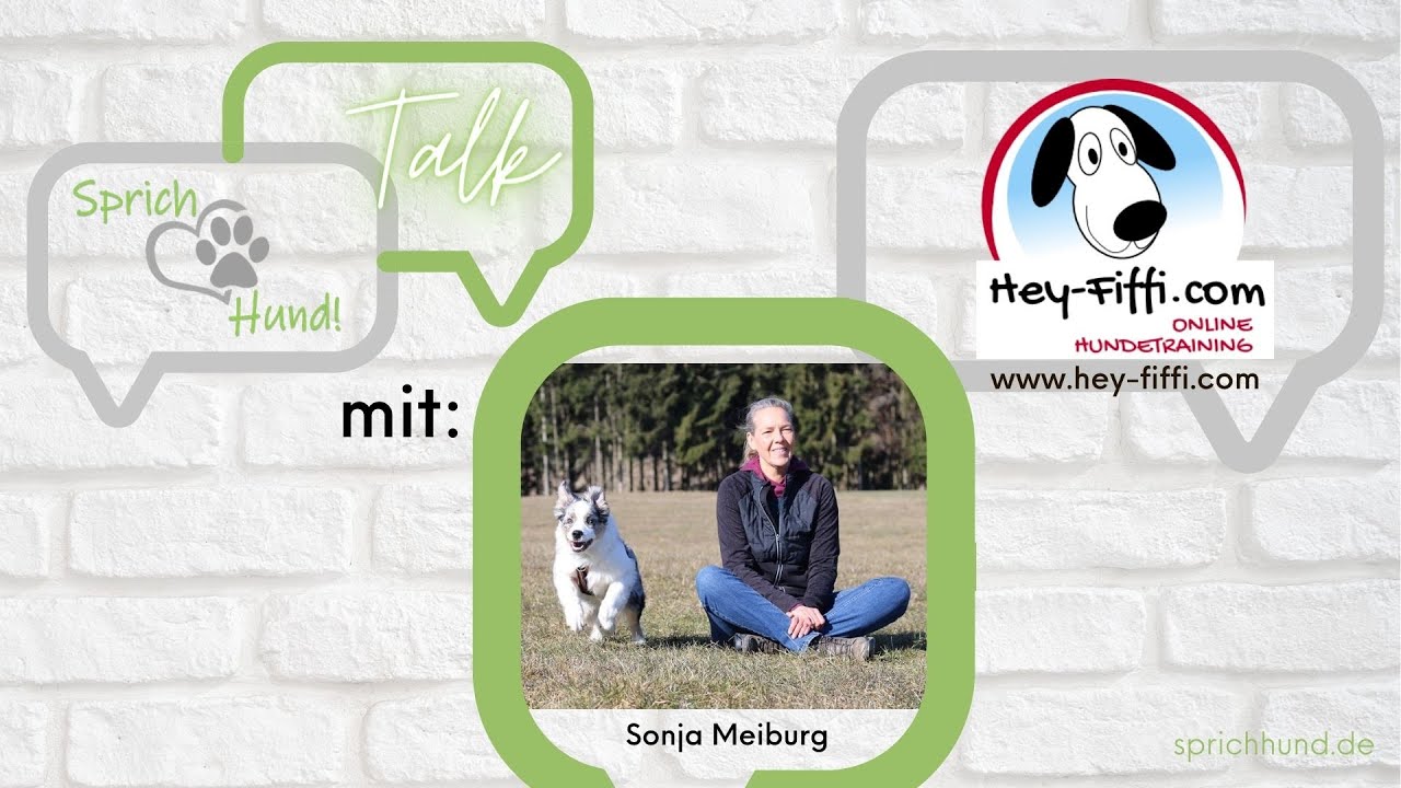 Cooldown-die Erregung beim Hund runterfahren -  Sprich Hund Talk mit Sonja Meiburg