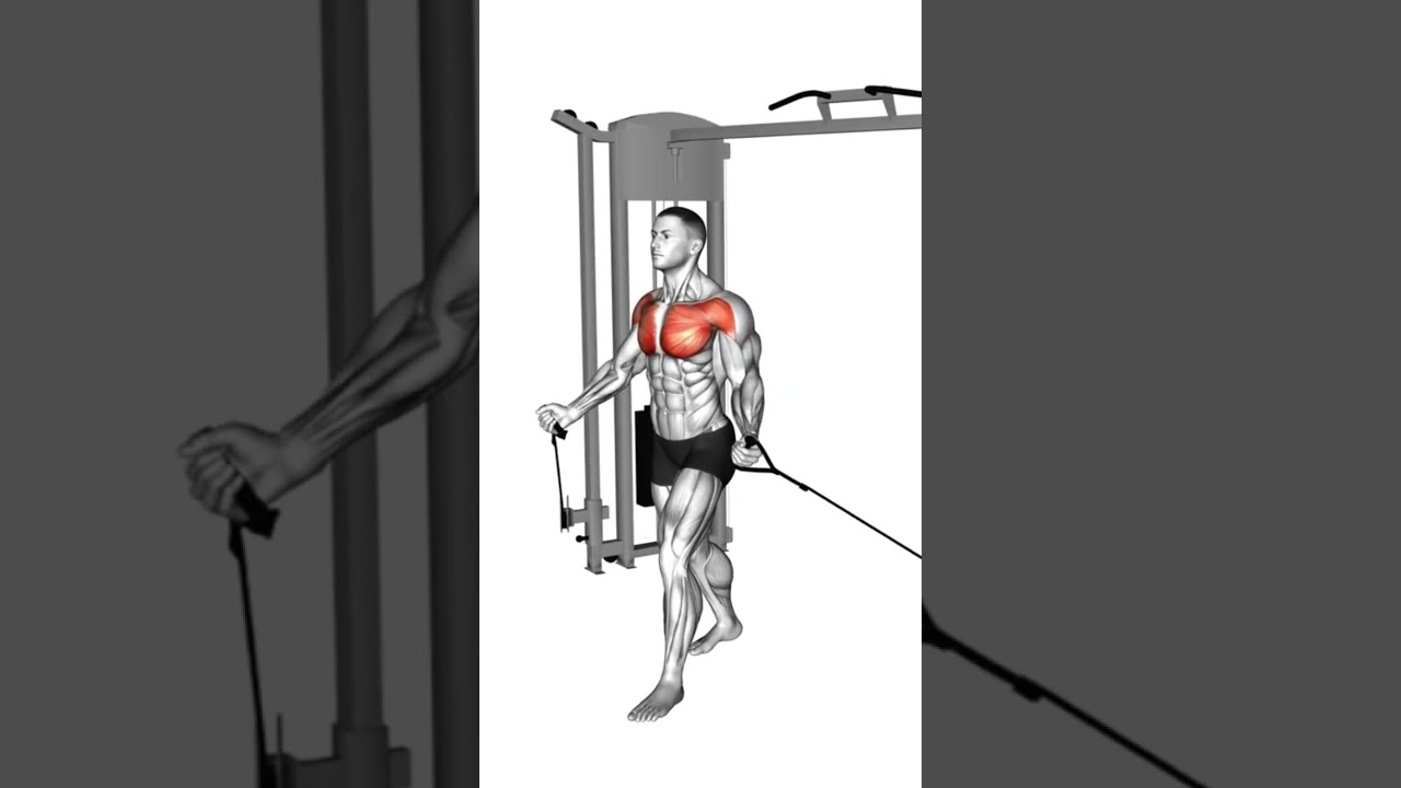 OBERE BRUST &Uuml;BUNGEN #brusttraining  #muskelaufbautipps #trainingstipps #trainingsplan