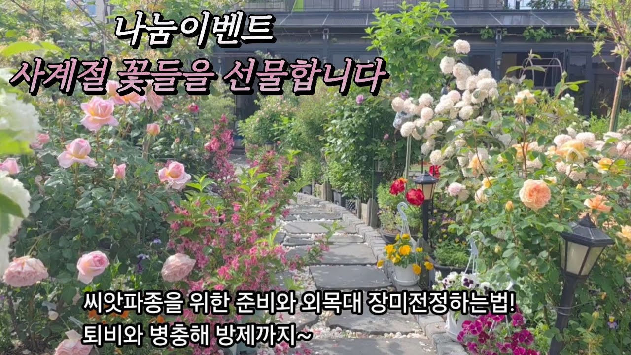KJ가드닝#26_4/씨앗파종을 위한준비#장미전정하는법#퇴비#병충해 방제