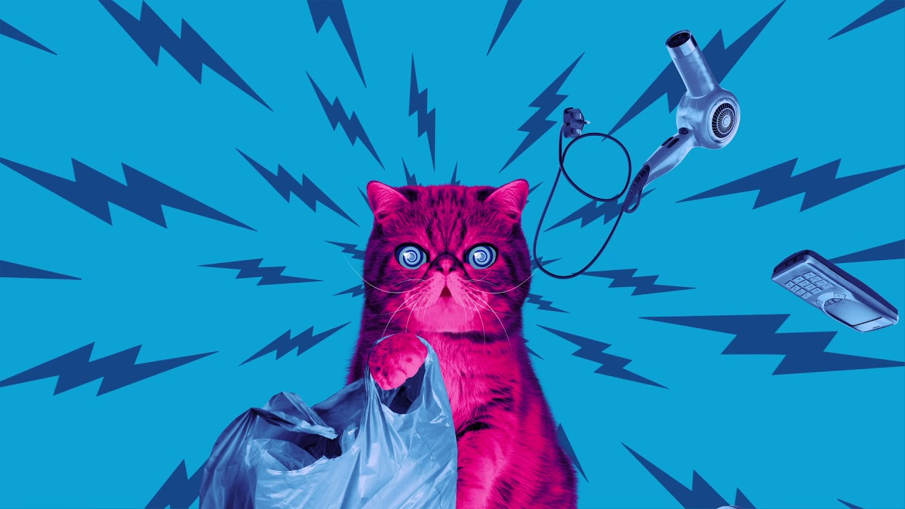 How are electronics recycled? Ask HypnoCat!
