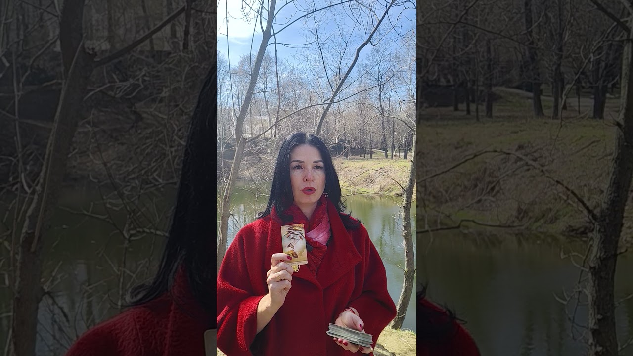 📌КАК ВЫСШИЕ СИЛЫ ВИДЯТ ВАШУ ПАРУ #тародлявсех #таро #раскладыдлямужчин#тарорасклад#таромания