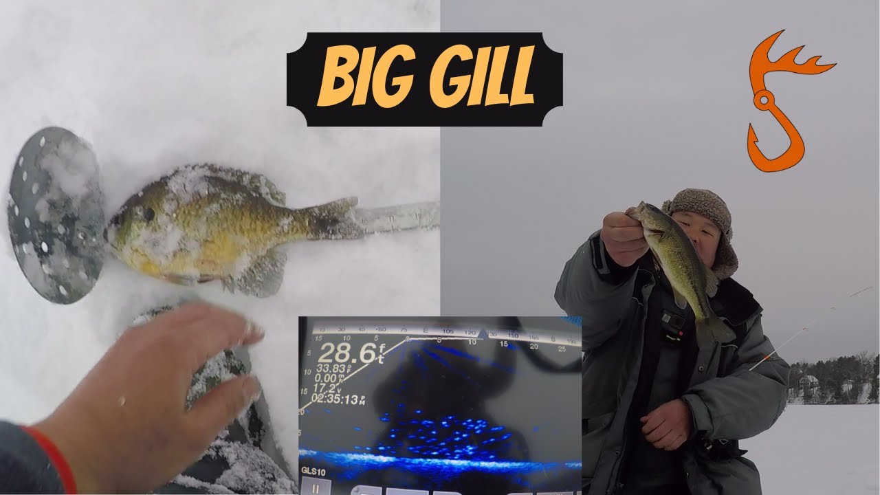 Big Gill