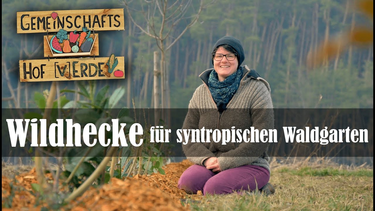 Wir legen eine Wildhecke an 👩‍🌾 unser Einstieg in ein syntropisches Agroforstsystem 🌳🌱