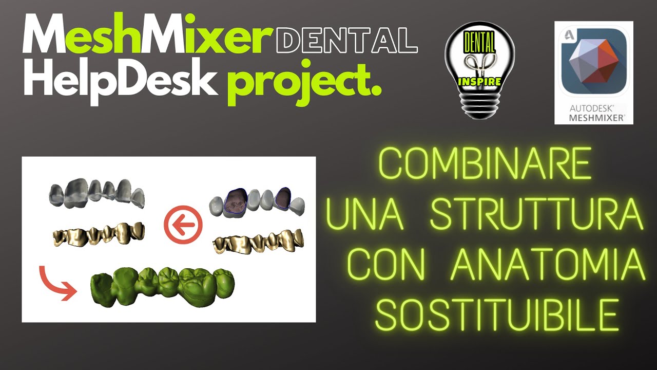 MESHMIXER DENTAL. HELPDESK PROJECT STRUTTURA+ANATOMIA