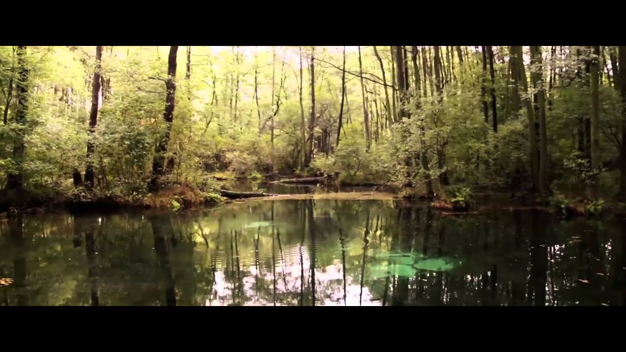 Nature Reserve Blue Springs