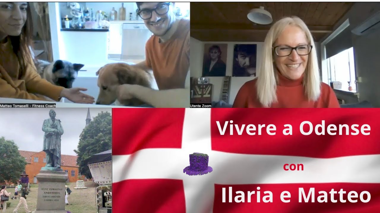 Vivere a Odense 🇩🇰 Il trasferimento di  Ilaria e Matteo: casa, cani, lingua e sanit&agrave; danese.