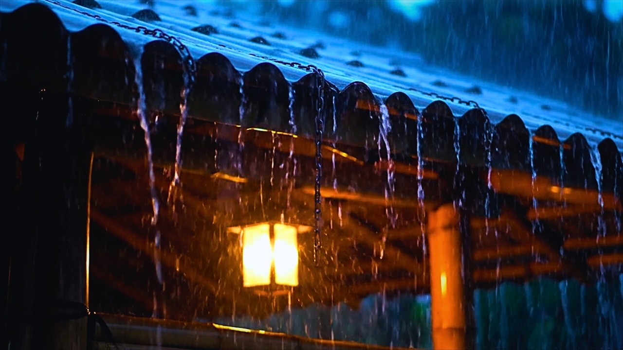 Sleep Instantly with Heavy Rain & Thunder on Tin Roof in the Forest | Soothing Rain Sounds for Sleep