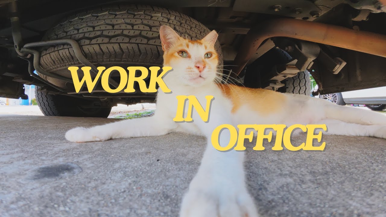 Last Day in Office