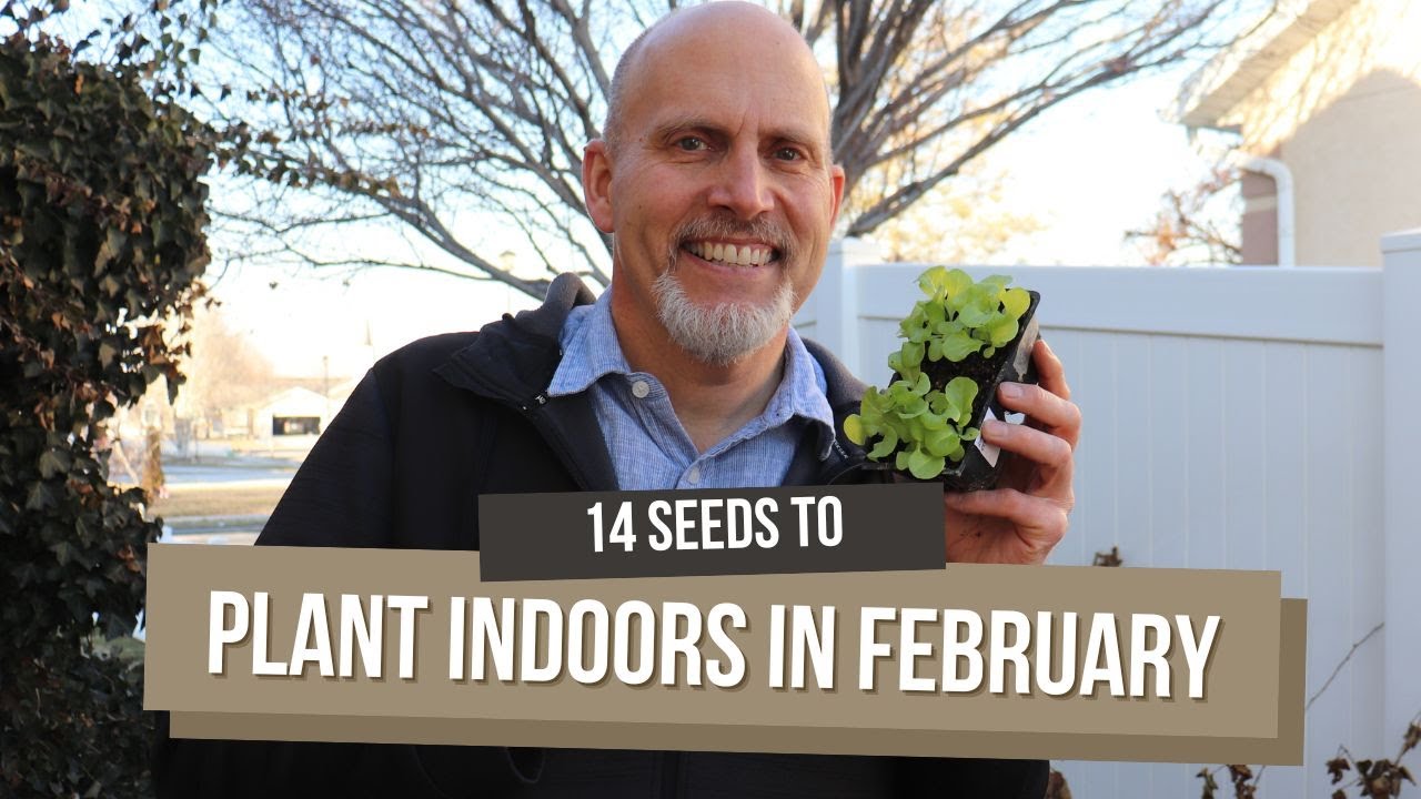 14 Seeds You Can Plant Indoors in February