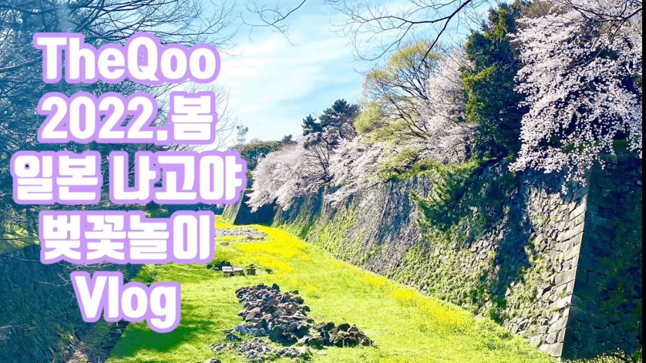 TheQoo 일본 일상 브이로그 - 벚꽃놀이#한중부부#한중커플