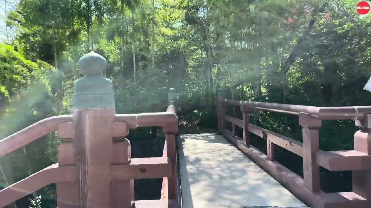 其實增上寺比淺草寺更值得遊覽（Zojoji Temple is more worth visiting）